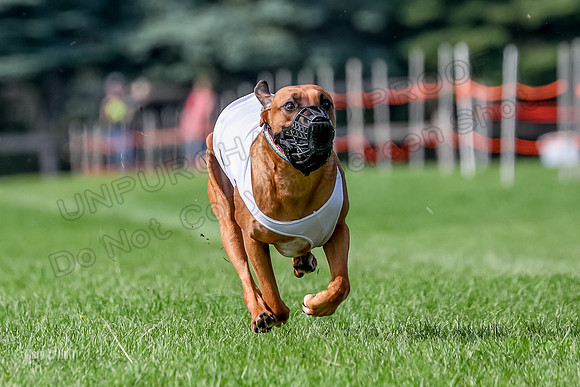 Program 2, Race 16 Xena Opal Crue Eve-7537