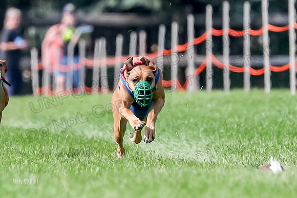 Program 2, Race 16 Xena Opal Crue Eve-7520