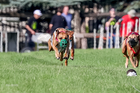 Program 1, Race 16 Xena Eve Opal Libby-6711