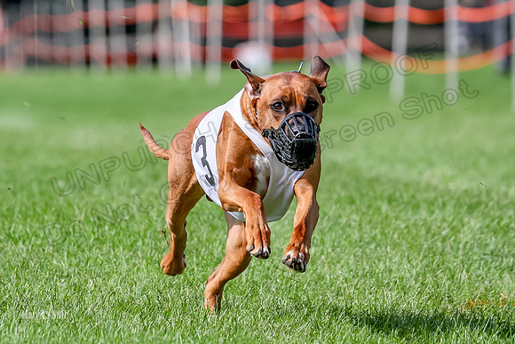Program 2, Race 16 Xena Opal Crue Eve-7544