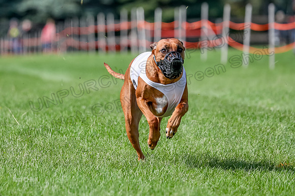 Program 2, Race 16 Xena Opal Crue Eve-7543
