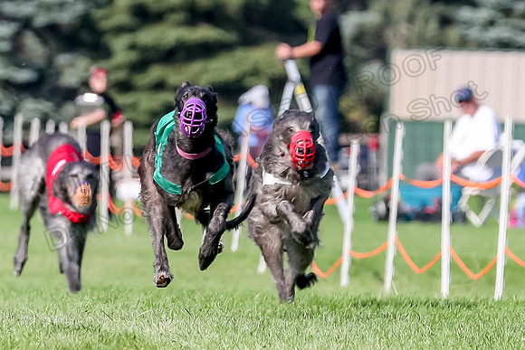 Program 1, Race 23 Hannah Gin Rosie Riddle-6989
