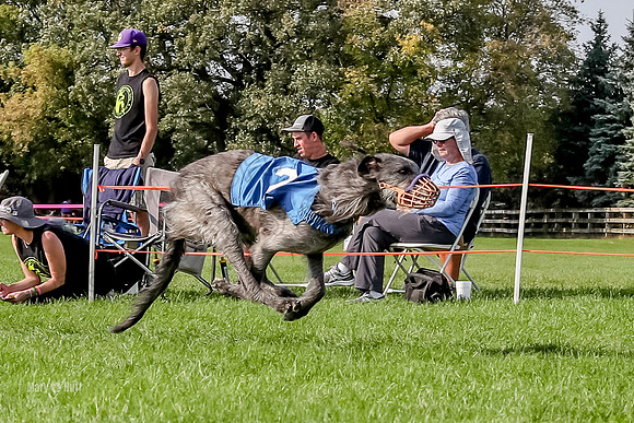 Program 3, Race 20 Hannah Gin-8248