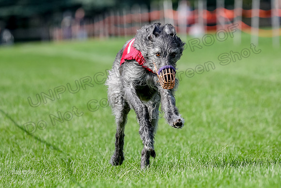 Program 2, Race 21 Hannah Enya-7685