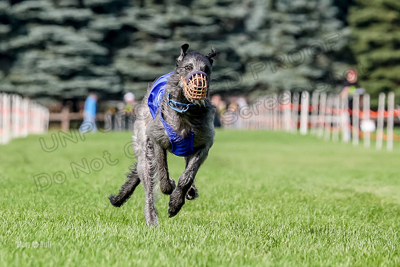 Program 1, Race 23 Hannah Gin Rosie Riddle-7004