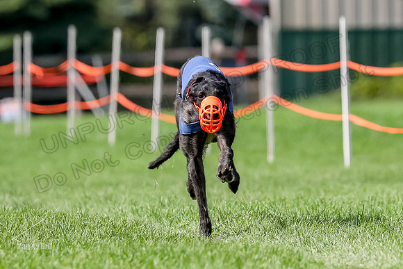 Program 2, Race 21 Hannah Enya-7662