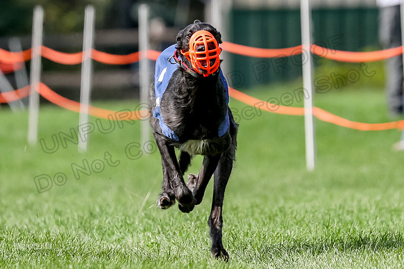 Program 2, Race 21 Hannah Enya-7664