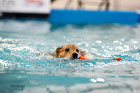 Splash 3
