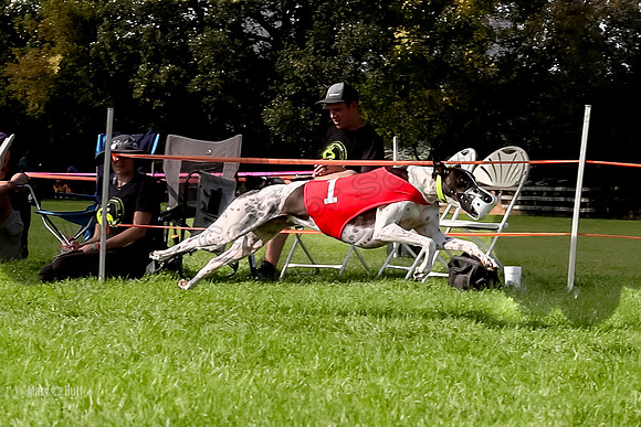 Program 3, Race 18-