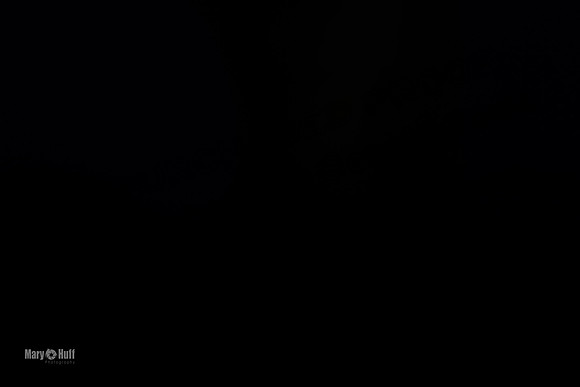 Program 1, No Photos-6908.jpg