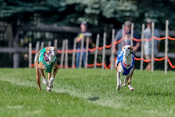 Program 2, Race 20 Tut Ellie Thea Izzy-7622