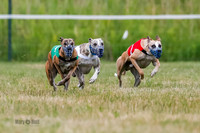 Prg 2, Race 4, Marty, Bogie, Denim, Meatloaf, Blaze, Raz