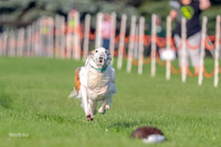 Program 1, Race 4 Charlie Matcha Spec-6243