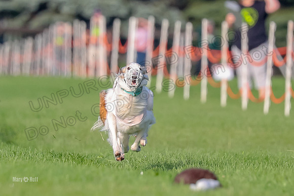 Program 1, Race 4 Charlie Matcha Spec-6243