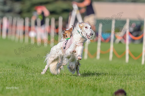 Program 1, Race 4 Charlie Matcha Spec-6256