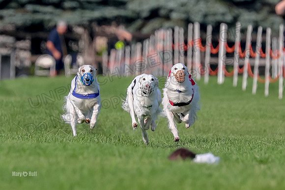 Program 1, Race 11 Joker Ripley Chyna Azuma-6482