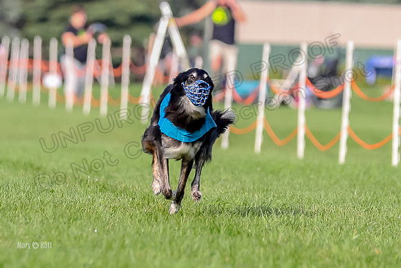 Program 1, Race 4 Charlie Matcha Spec-6269