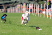 Program 1, Race 4 Charlie Matcha Spec-6241