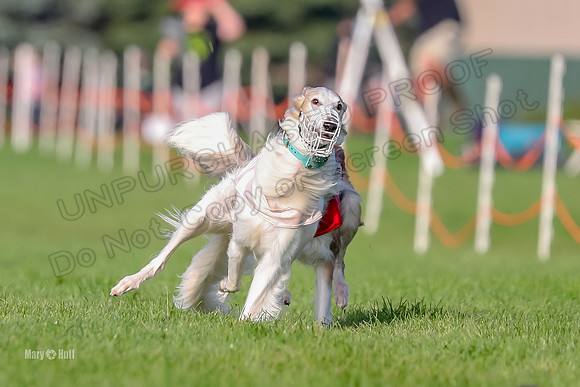 Program 1, Race 4 Charlie Matcha Spec-6254