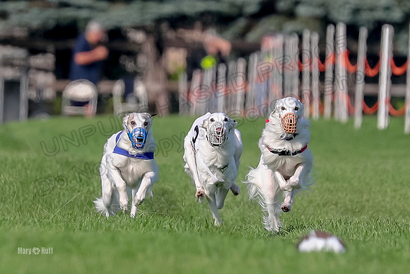 Program 1, Race 11 Joker Ripley Chyna Azuma-6478