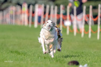 Program 1, Race 4 Charlie Matcha Spec-6247
