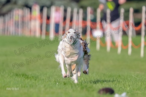 Program 1, Race 4 Charlie Matcha Spec-6247