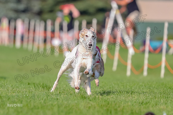 Program 1, Race 4 Charlie Matcha Spec-6253