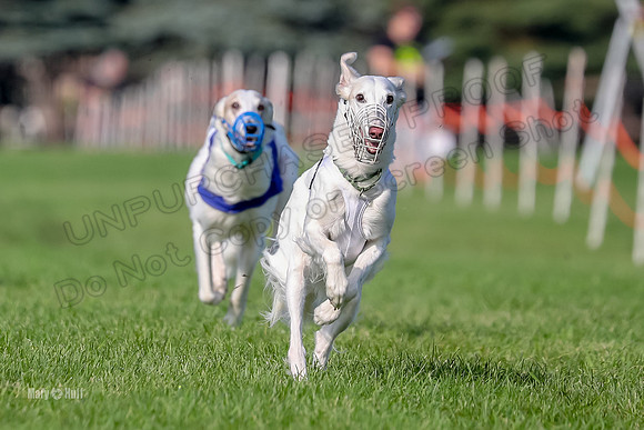 Program 1, Race 11 Joker Ripley Chyna Azuma-6491