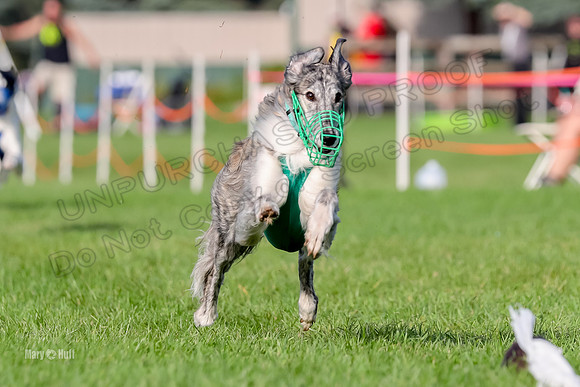 Program 1, Race 7 Midori Kanai Absinthe Zebo-6335