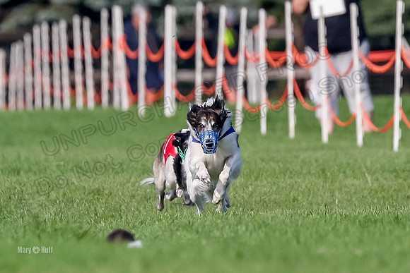 Program 1, Race 9 Moonshine Finnegan Luca Nara-6393