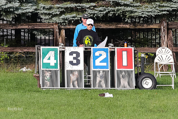 Program 1, Race 1 Zip Max Bellini Isaly-6153