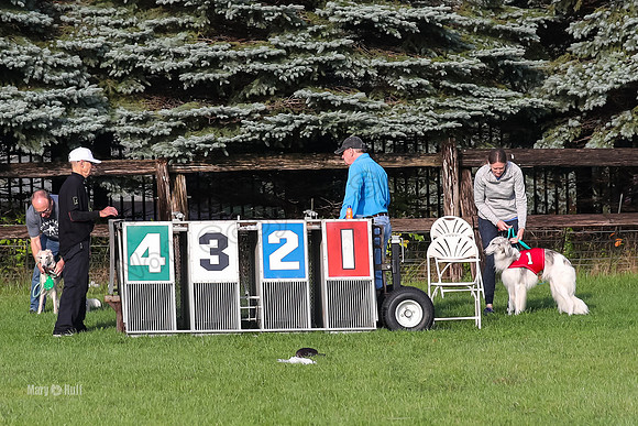 Program 1, Race 1 Zip Max Bellini Isaly-6152