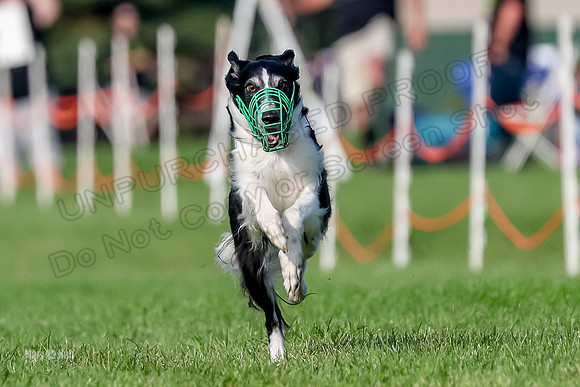 Program 1, Race 9 Moonshine Finnegan Luca Nara-6400