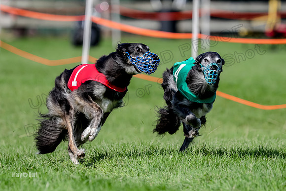 Program 2, Race 1 Match Zip Moonshine Midori-7106