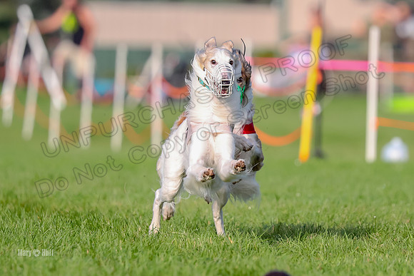 Program 1, Race 4 Charlie Matcha Spec-6263