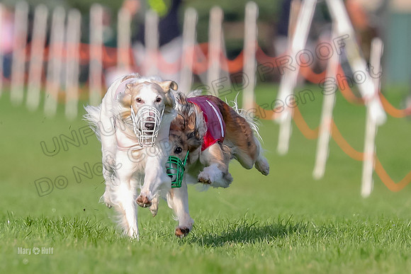 Program 1, Race 4 Charlie Matcha Spec-6249