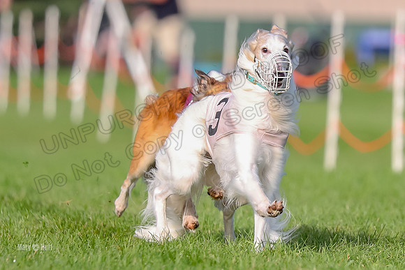 Program 1, Race 4 Charlie Matcha Spec-6261