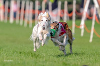Program 1, Race 4 Charlie Matcha Spec-6248