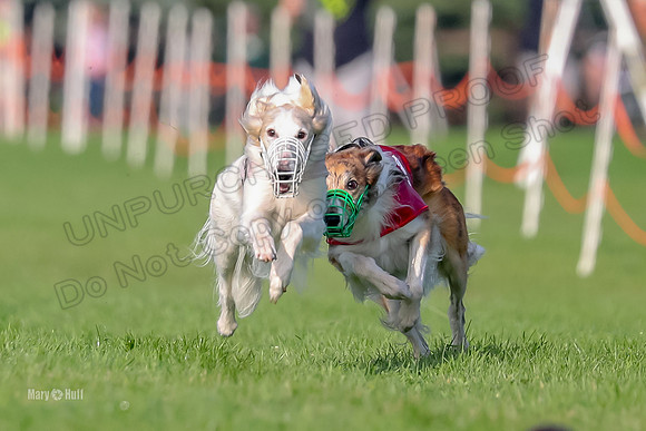 Program 1, Race 4 Charlie Matcha Spec-6248
