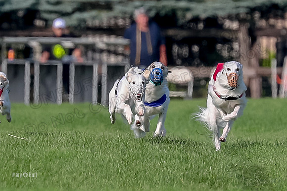 Program 1, Race 11 Joker Ripley Chyna Azuma-6471