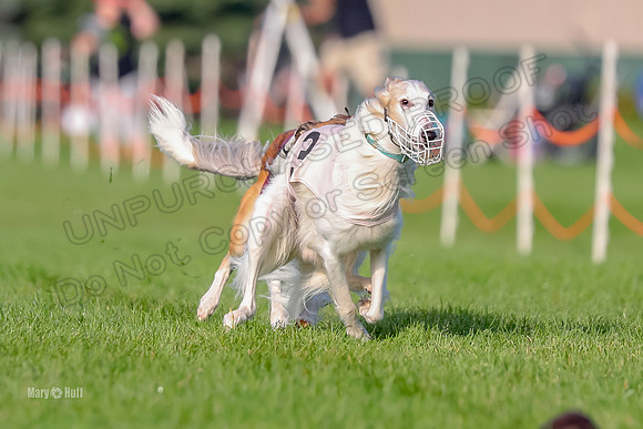 Program 1, Race 4 Charlie Matcha Spec-6258
