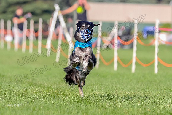 Program 1, Race 4 Charlie Matcha Spec-6271