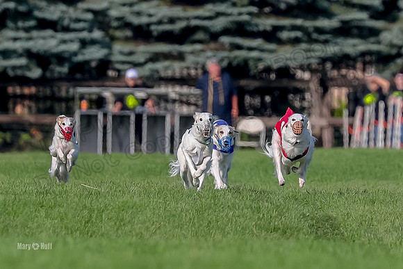 Program 1, Race 11 Joker Ripley Chyna Azuma-6470