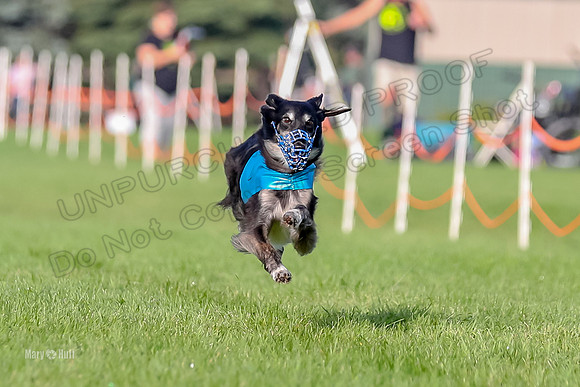Program 1, Race 4 Charlie Matcha Spec-6267