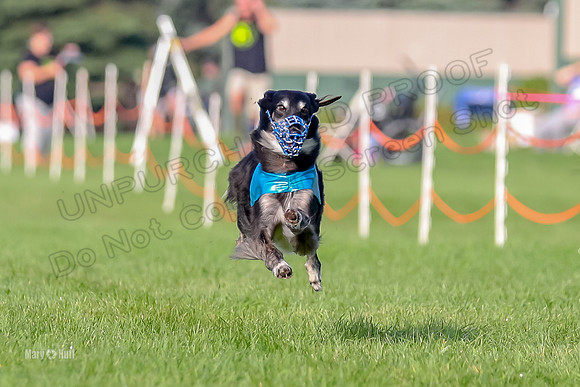 Program 1, Race 4 Charlie Matcha Spec-6272