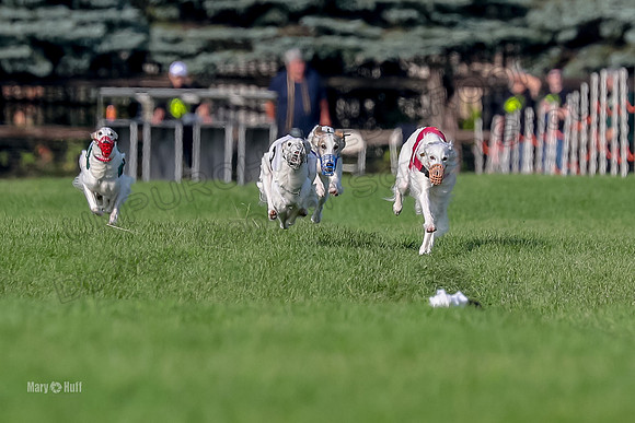 Program 1, Race 11 Joker Ripley Chyna Azuma-6473