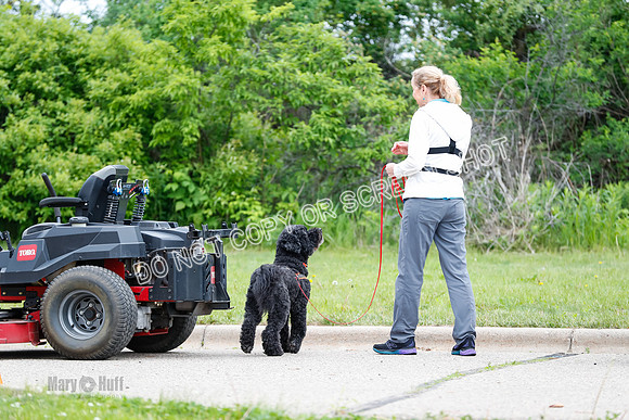 L1 Vehicle-7401