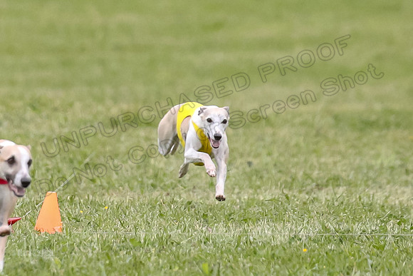 Finals Open C5, Mizuno Charlie Arlo-0785