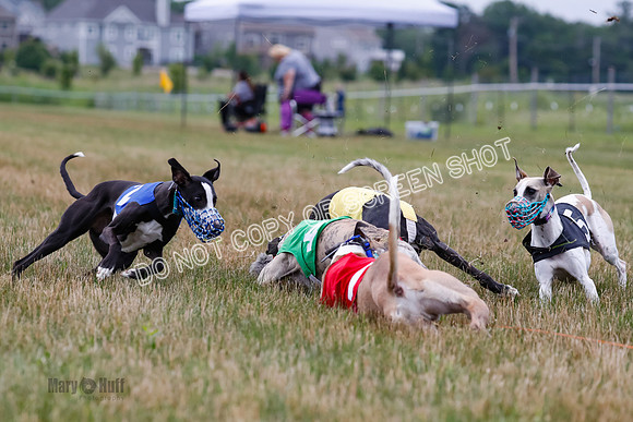Prg 3, Race 4, Rowan-Jett-Blaze-Shimmy-Bogie-1148