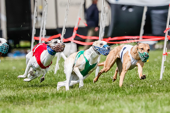 NOTRA Program 3, Race 3, Eddie Elvis Picanha Coyote-2-10